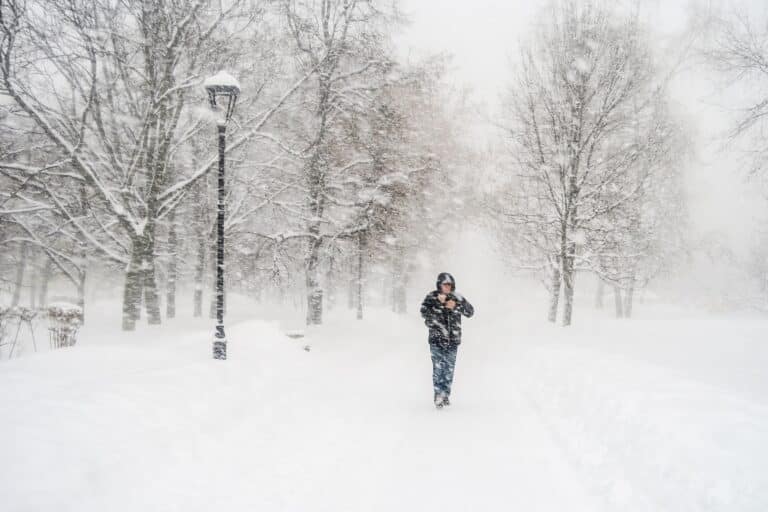 В Павлодарской области ввели режим ЧС после сильного ветра