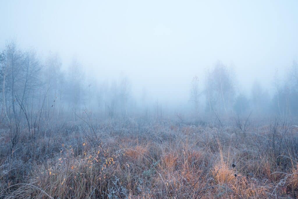 В каких областях Казахстана объявлено штормовое предупреждение 19 марта