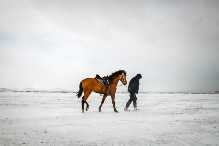 Спасатели нашли пропавшего пастуха под мостом в Акмолинской области