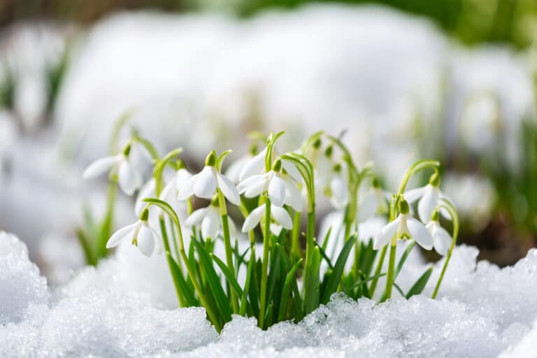 Жауын-шашын және су тасқыны: наурызда ауа райы қандай болады