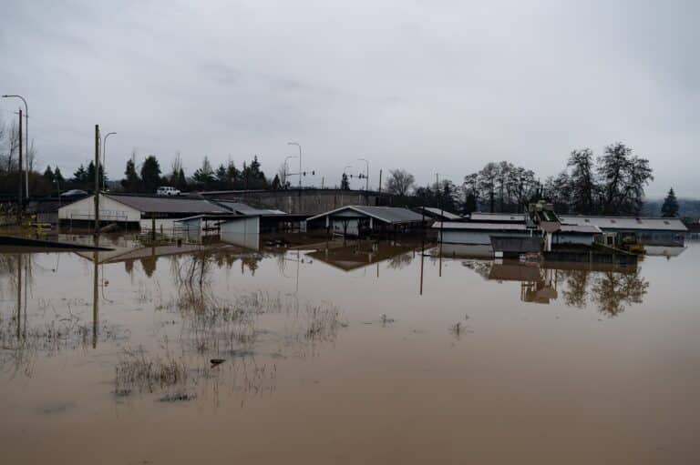 В Мангистауской области сельчане покидают свои дома из-за подтоплений