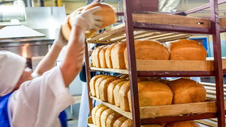 170 млн теңге қарыз: Ақтөбедегі ірі наубайхана әлеуметтік нан шығаруын тоқтатты