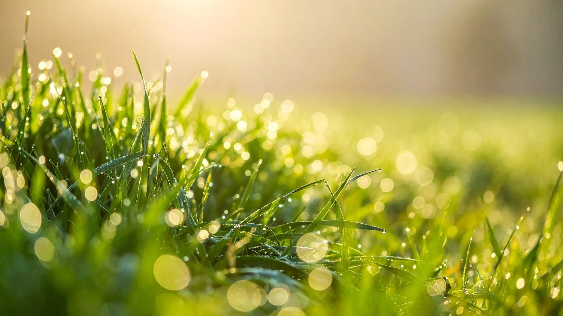 ауа райы көктем