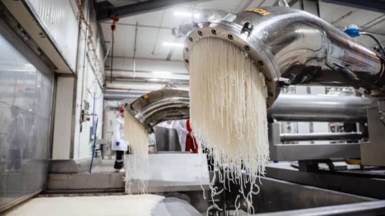 Казахстанец строит завод по выпуску ковров за 1,2 млрд тенге в Алматинской области