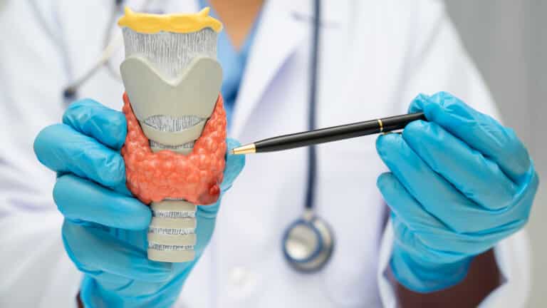 Врач-эндокринолог рассказала, когда нужно проверять щитовидную железу