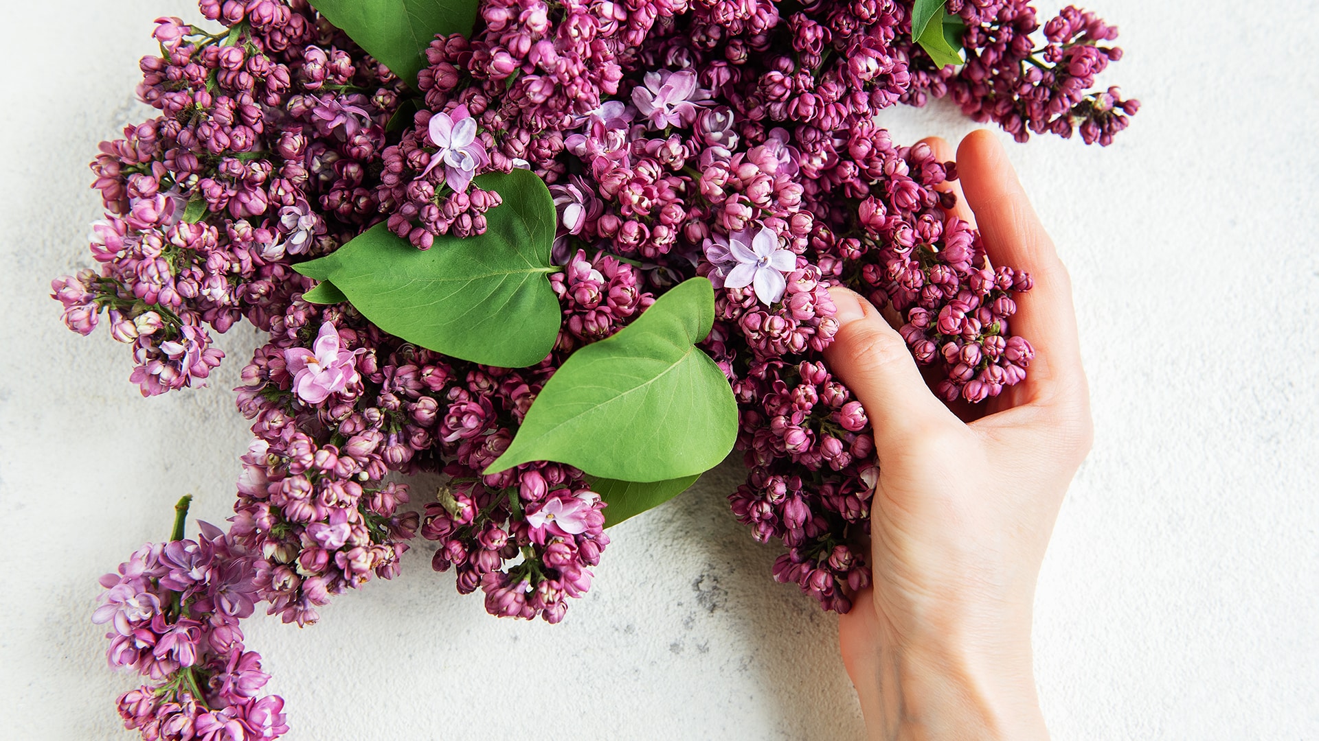 Стало известно, какой штраф грозит в Казахстане за срыв сирени