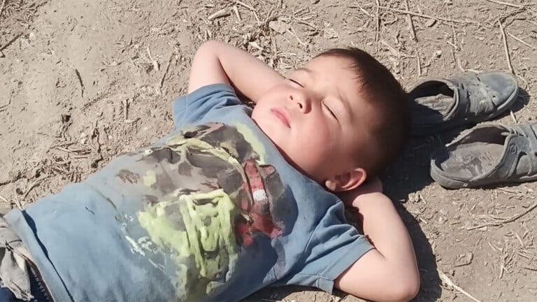 Пусть весь мир подождет: мальчик задремал в поле, пока его разыскивали всем селом