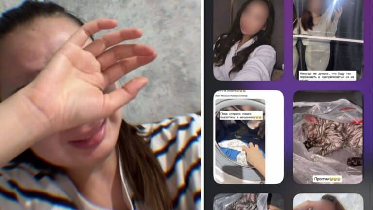 Постирала котенка в стиральной машине: история возмутила Казнет