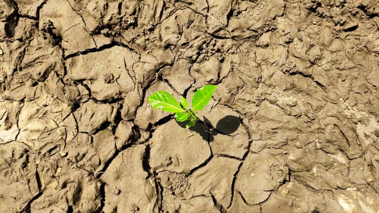 Лондон и Душанбе станут партнерами Казахстана по климату, воде и безопасности