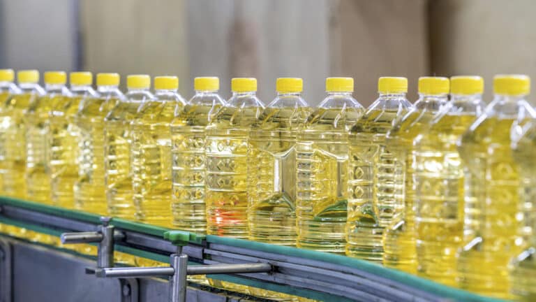 Турецкий холдинг построит мощный маслозавод в Петропавловске