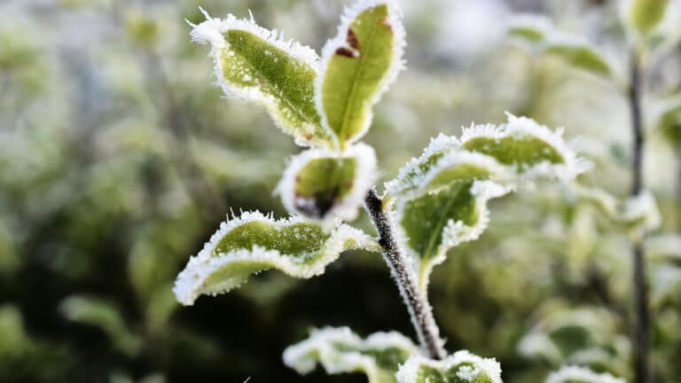 Снег в апреле пообещали казахстанцам синоптики