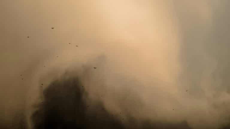 Пыльная буря движется к Казахстану из Узбекистана и Таджикистана