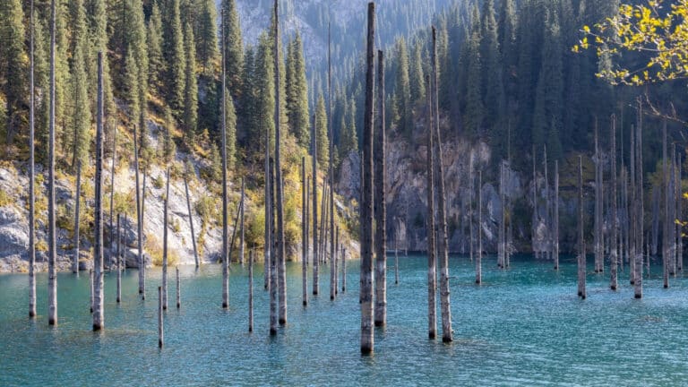 Забытая стройка на Кайынды наконец ожила, проложить дорогу к озеру планируют осенью