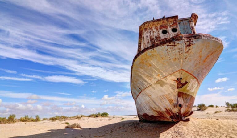 26 наурыз – Арал теңізінің, Әмудария мен Сырдария өзендерінің халықаралық күні