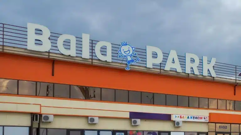 За фейк о гибели 18 человек в «Bala Park» осудили жительницу Семея