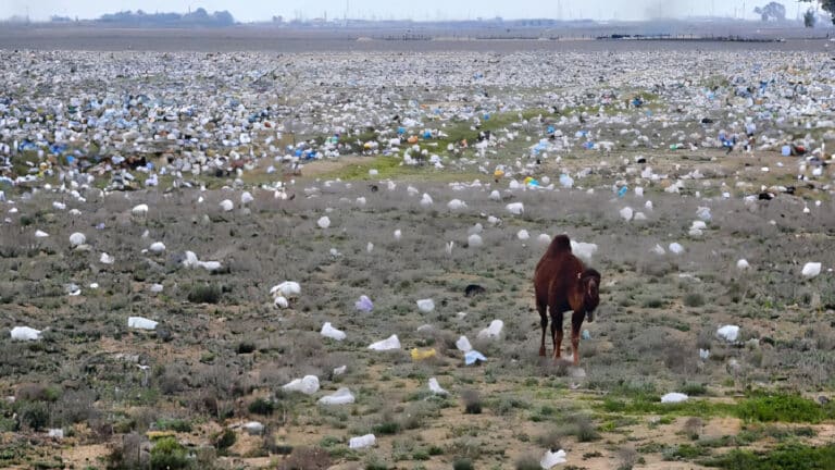 Блогер Азамат Сарсенбаев показал, как изуродована степь вокруг Мангистау