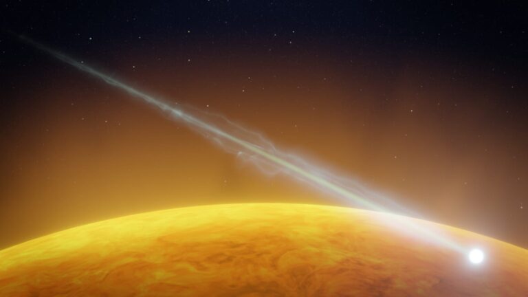 Солнце все-таки поглотило самую яркую комету года