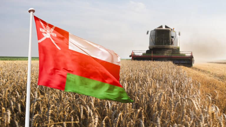 Арабы создали «прокладку» в МФЦА между собой и казахстанской зерновой компанией