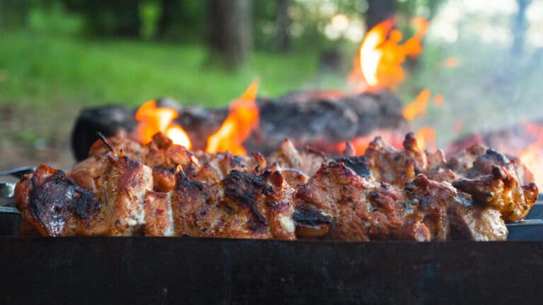 МЧС начнет массовые рейды за костры и шашлыки на пикниках в Казахстане