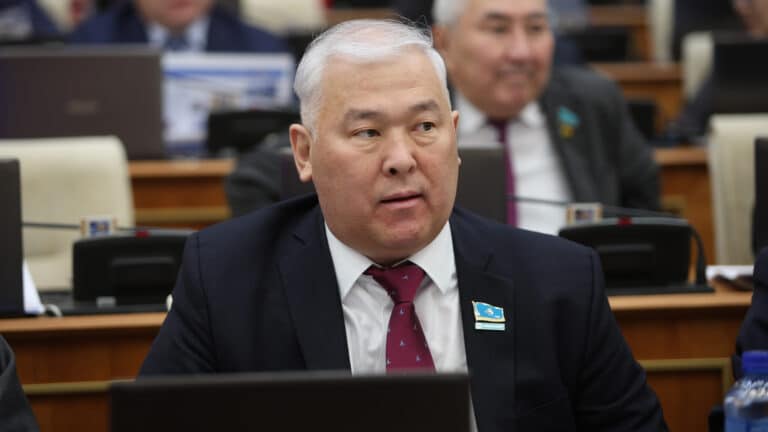 Абенов предупредил что прощение наемников ударит по дипломатии Казахстана