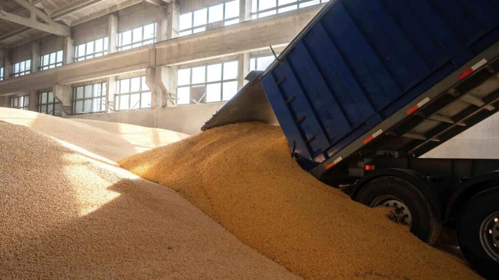 Таджикистан попросил Казахстан увеличить экспорт зерна и строить мельницы/fcc.kz, бильд-редактор: Адэлина Мамедова