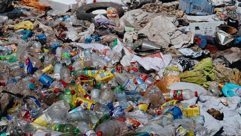 Акимов в Павлодарской области массово наказали за мусор