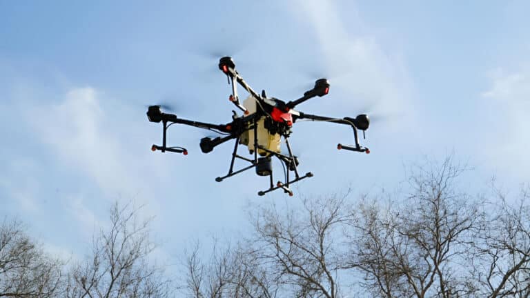 Отраву от комаров в Астане начнут распылять с воздуха