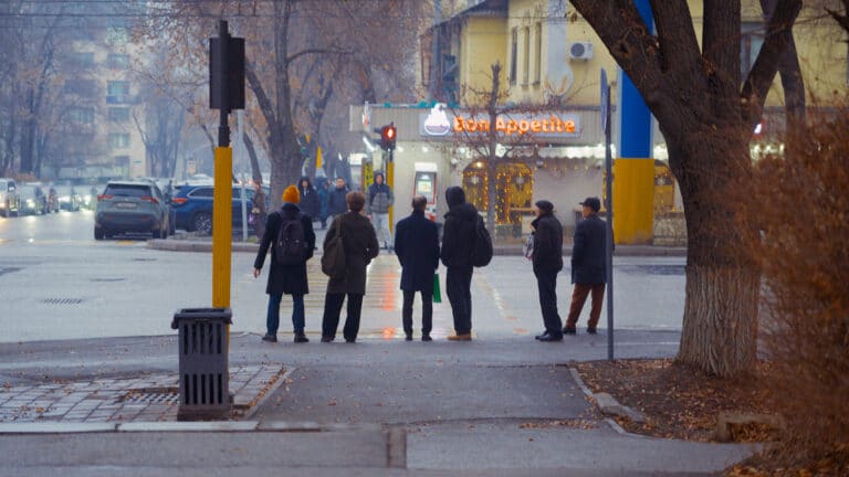 «Зима не уходит»: заморозки ударят по 7 регионам Казахстана 29 апреля