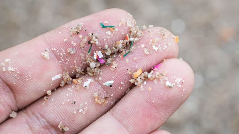 Эксперты считают, что план США по борьбе с микропластиком не защитит здоровье людей