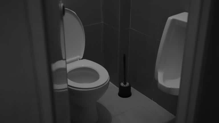 Рецидивист 5 лет прятался от полиции в тайнике туалета в Караганде