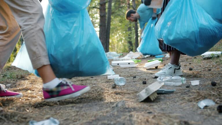 Награждать туристов за сбор мусора и помощь городу планируют в Берлине