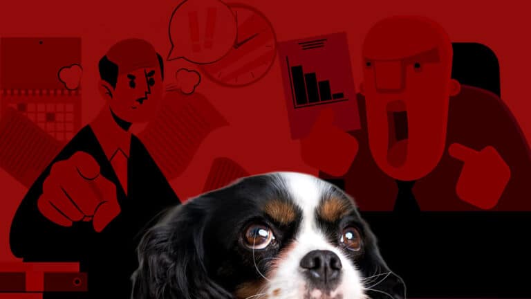 Бедность и плохое воспитание: психолог объяснила всплеск жестокости к животным в РК