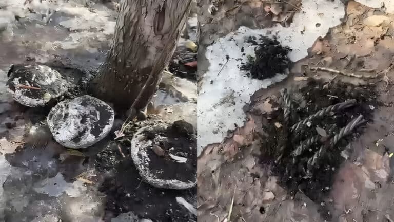 Неизвестные проводят обряды черной магии у синагоги в Астане