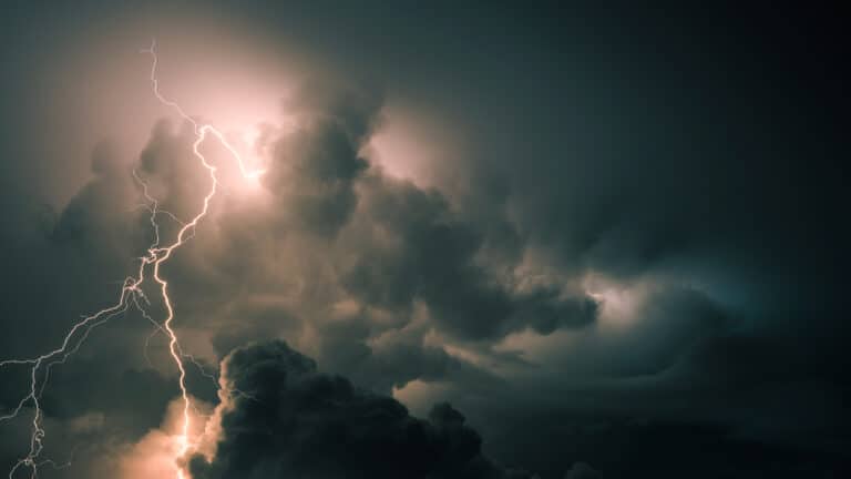 Гроза оказалась главной причиной лесных пожаров в Казахстане