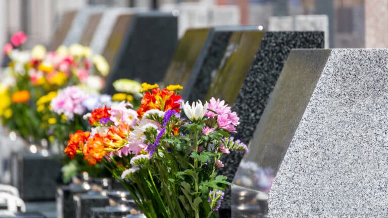 Для алматинцев откроют огромное кладбище на 160 га