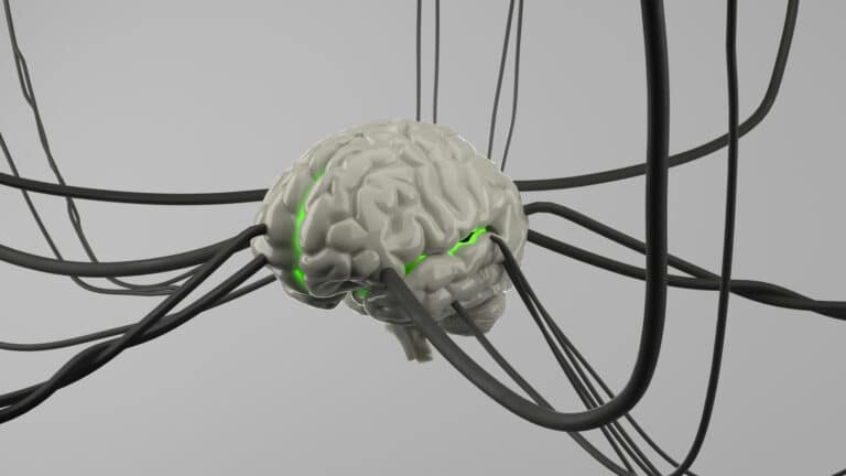 Искусственные нейроны «научились» взаимодействовать с живыми клетками мозга