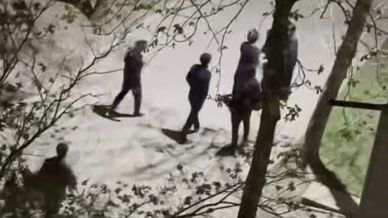 Талғарда тағы төбелес – полиция түсініктеме берді