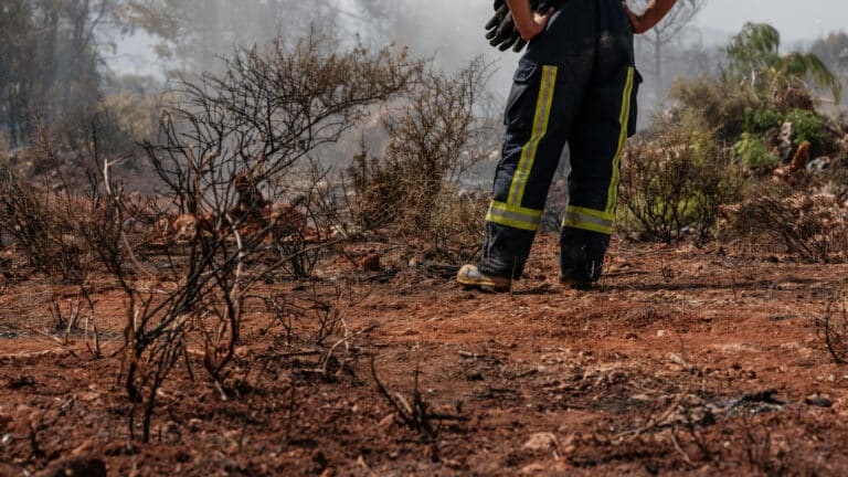 В пяти областях Казахстана объявили высокую пожарную опасность