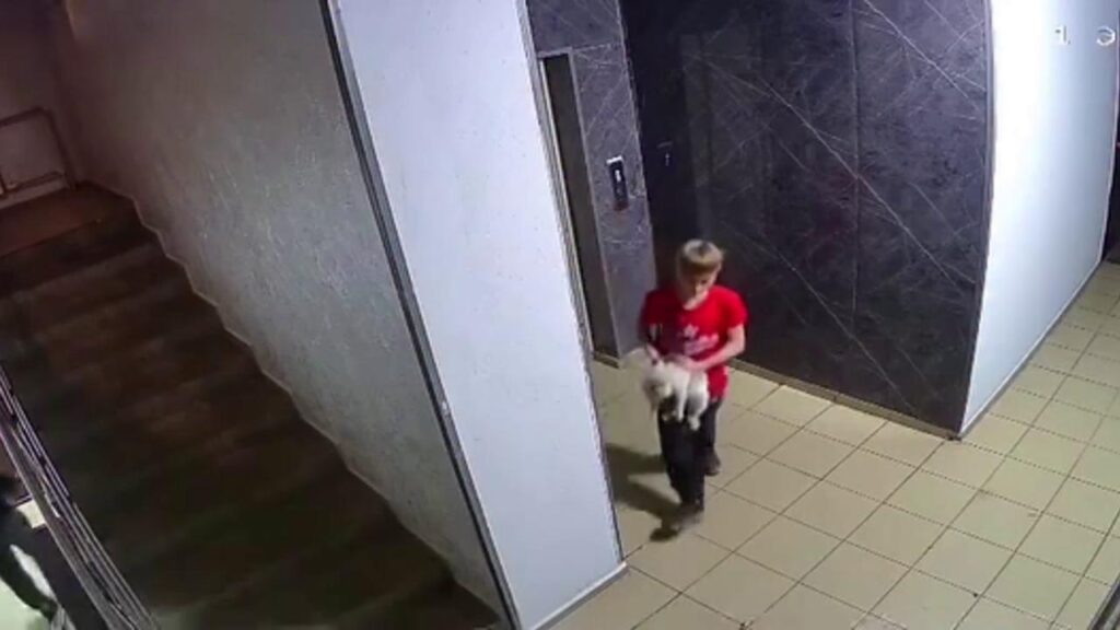 Алматыда жасөспірім мысықтың басын қабырғаға ұрып, үстіне секірген