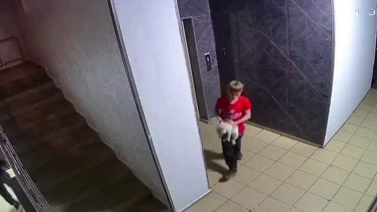 Алматыда жасөспірім мысықтың басып қабырға ұрып, үстінен секірді