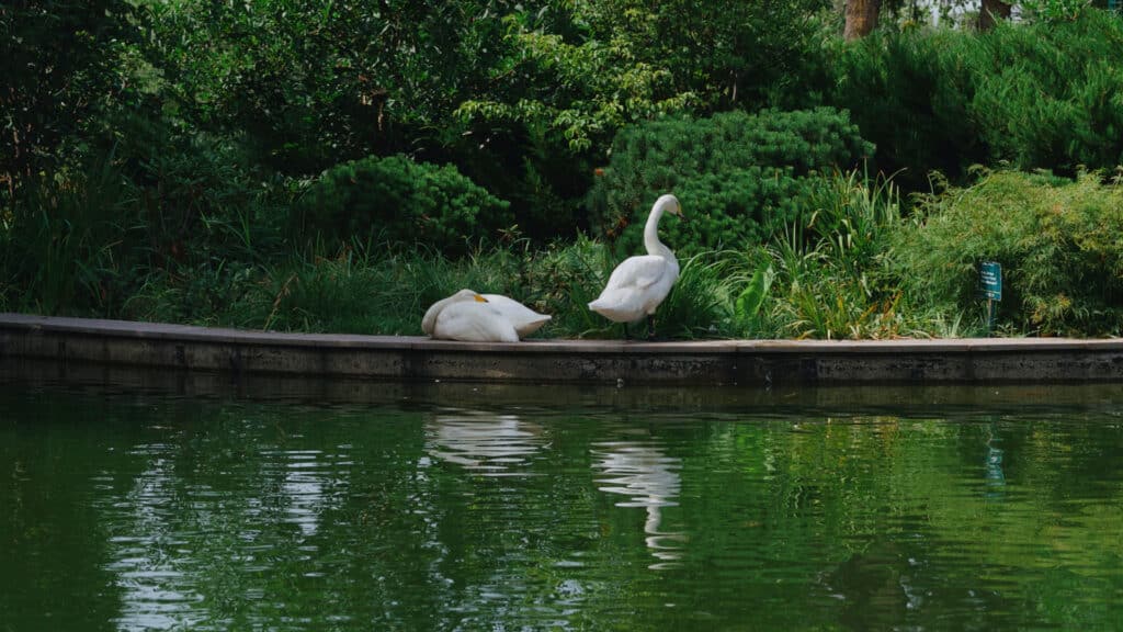 Фото: Делия Айдаралиева