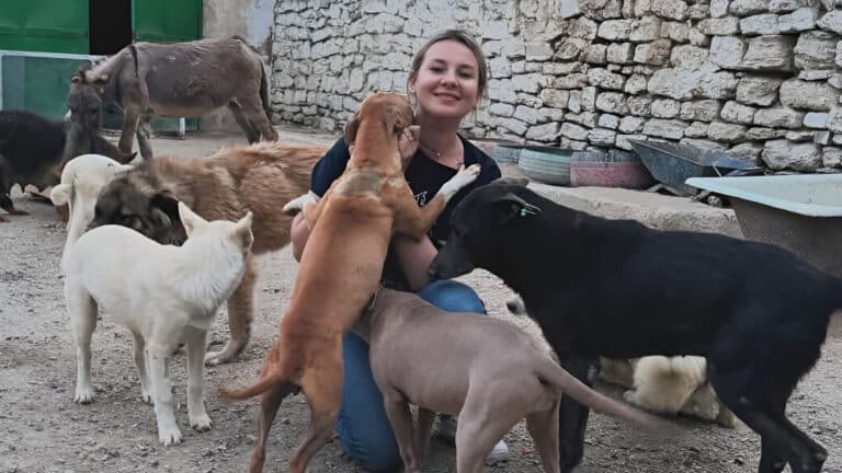 Алматинская зоозащитница отстояла свою землю, но ей придется построить новый приют