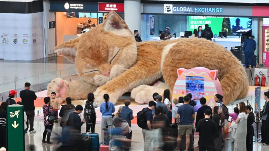 Фото: instagram.com/hongkongairport, бильд-редактор: Дастан Шанай