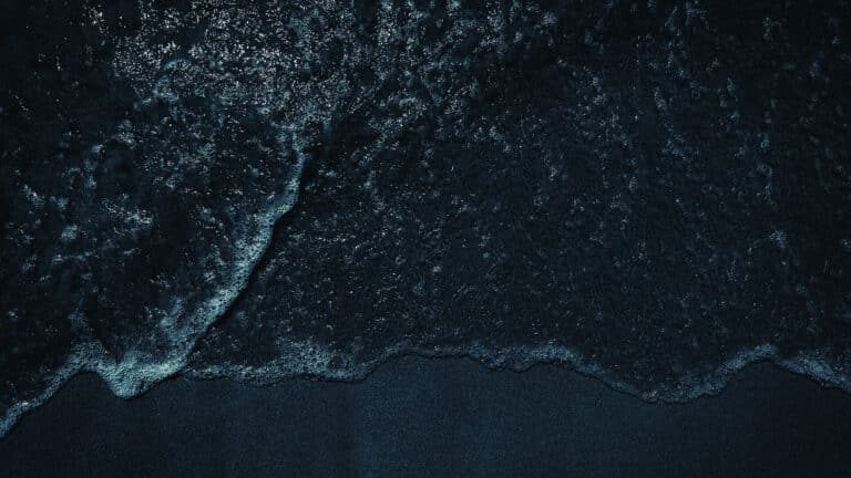 Мировые океаны темнеют и ученые не понимают, чем это закончится