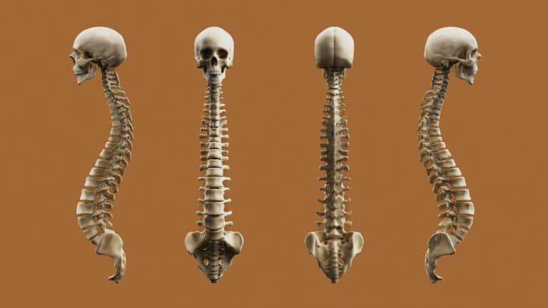 От чего зависит осанка и можно ли ее исправить