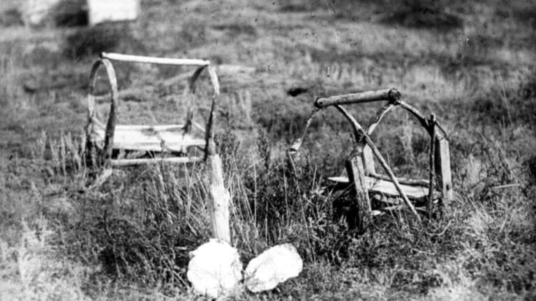 «Голод был политикой»: историк раскрыл неудобные факты о трагедии 1919–1920 годов