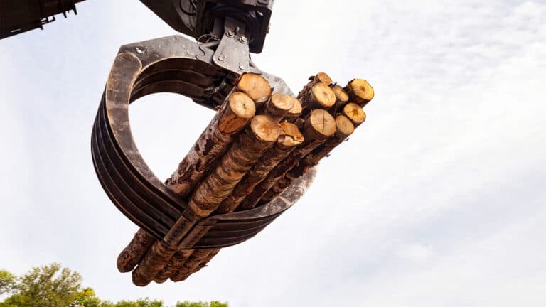 Казахстан договорился с катарцами о строительстве завода ЛДСП за 70 млрд тенге