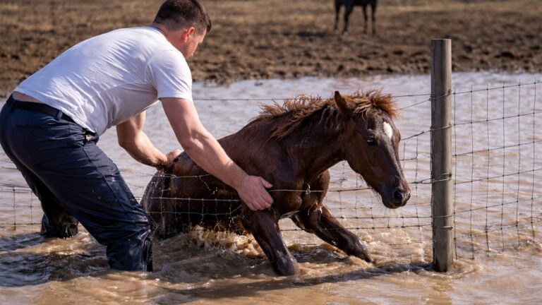 Казахстанец спас жеребенка и стал героем соцсетей