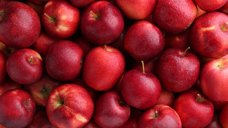 Кто виноват в высоких ценах на яблоки в Казахстане, объяснили в Минторговли 