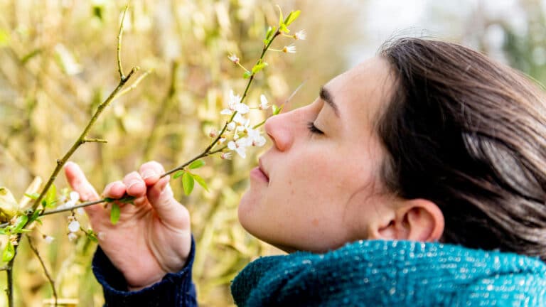Терапевт объяснила, почему «пропадают» обоняние и вкус после вирусных инфекций
